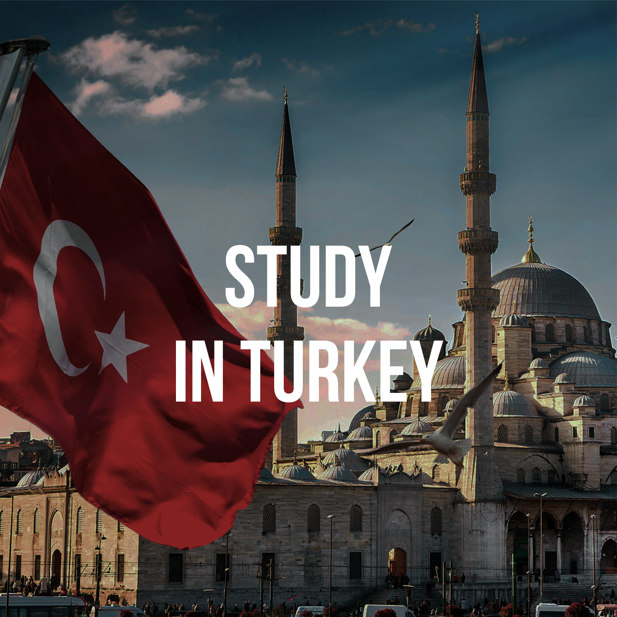 Study in Turkey Обучение в Турции